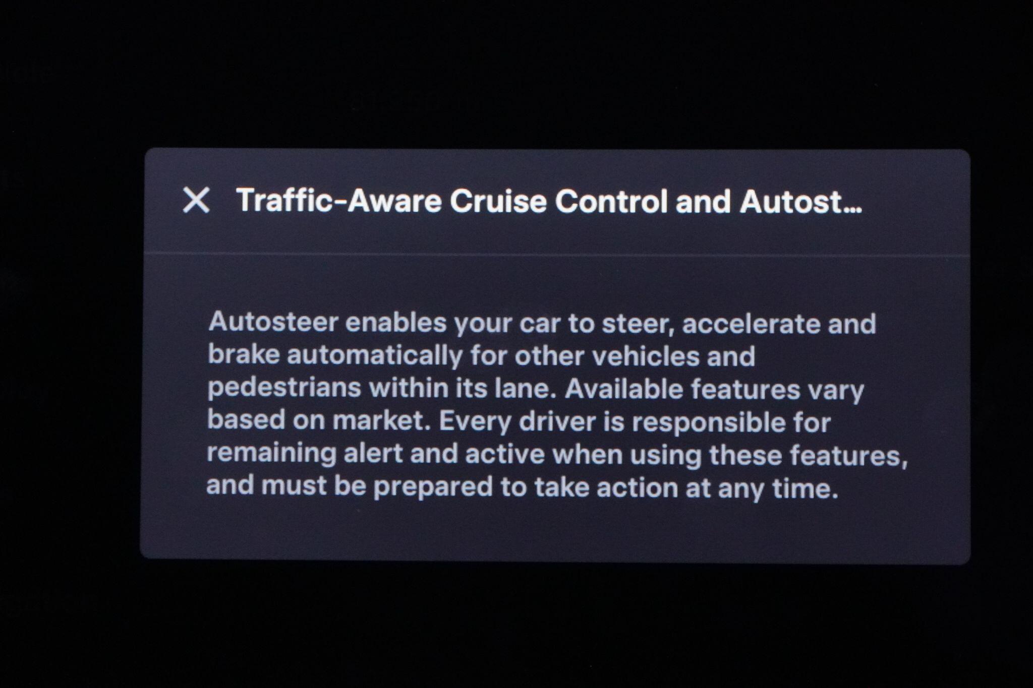 Tesla Model X view 33