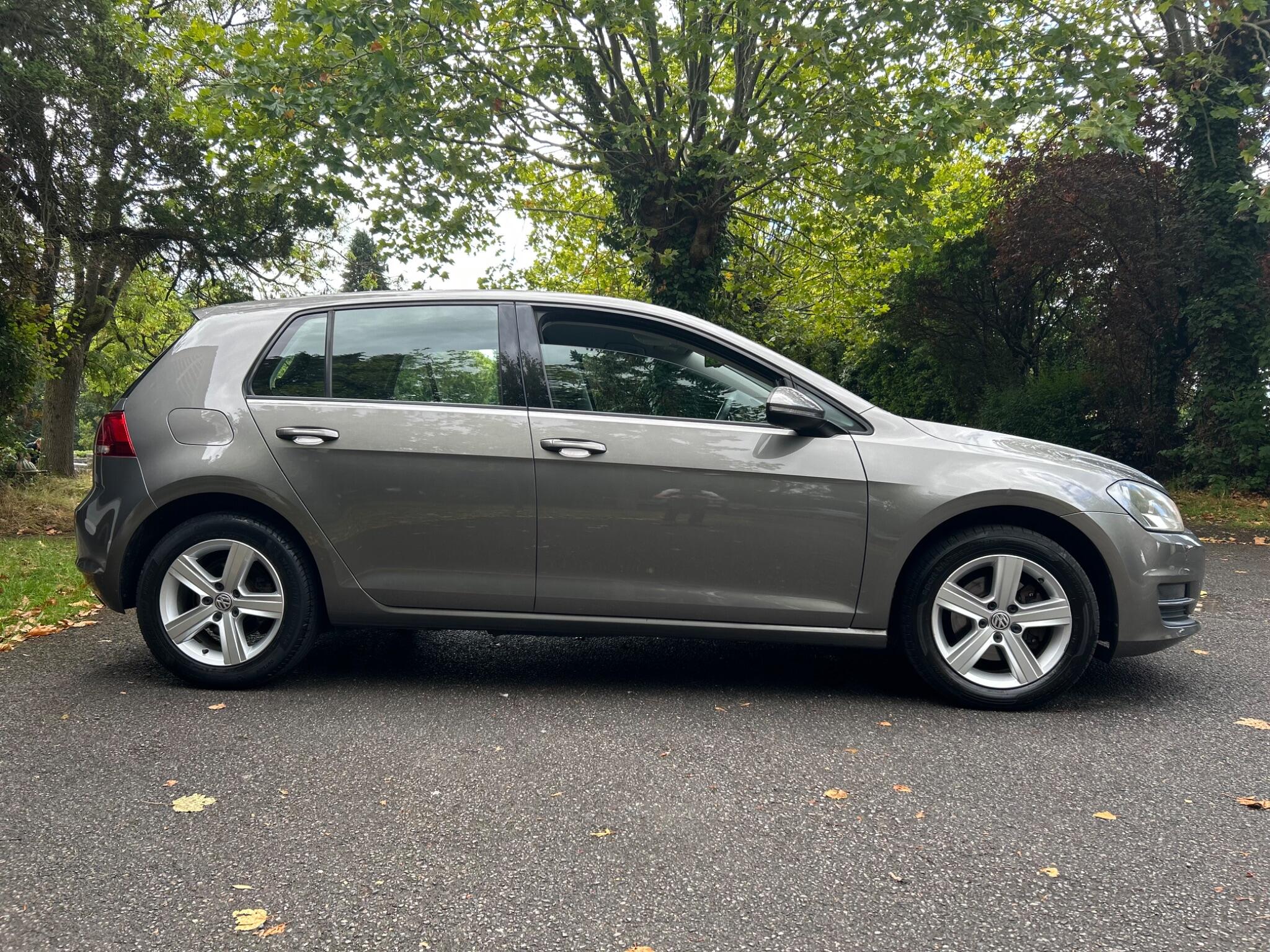 Volkswagen Golf view 14