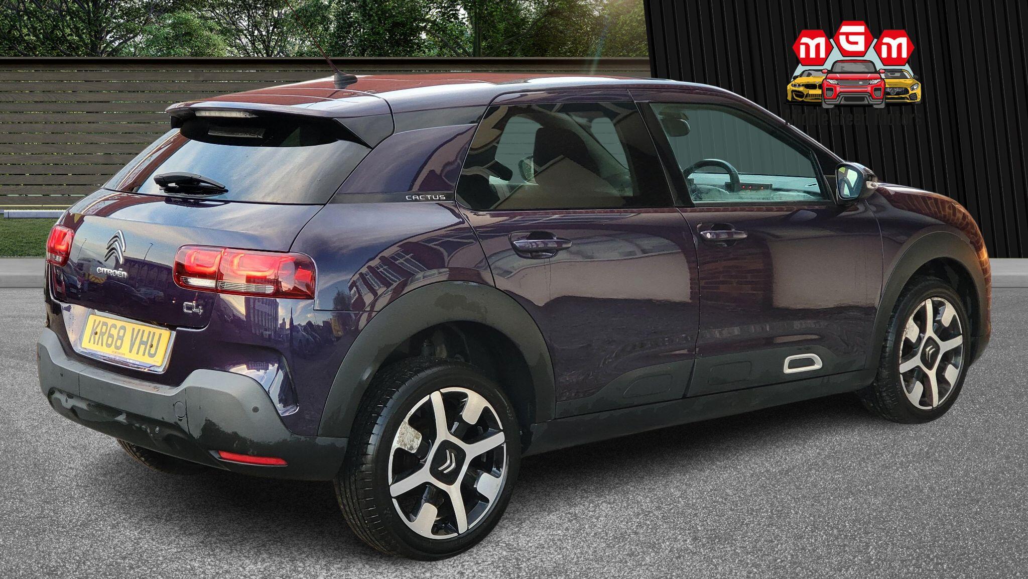 Citroen C4 Cactus view 10