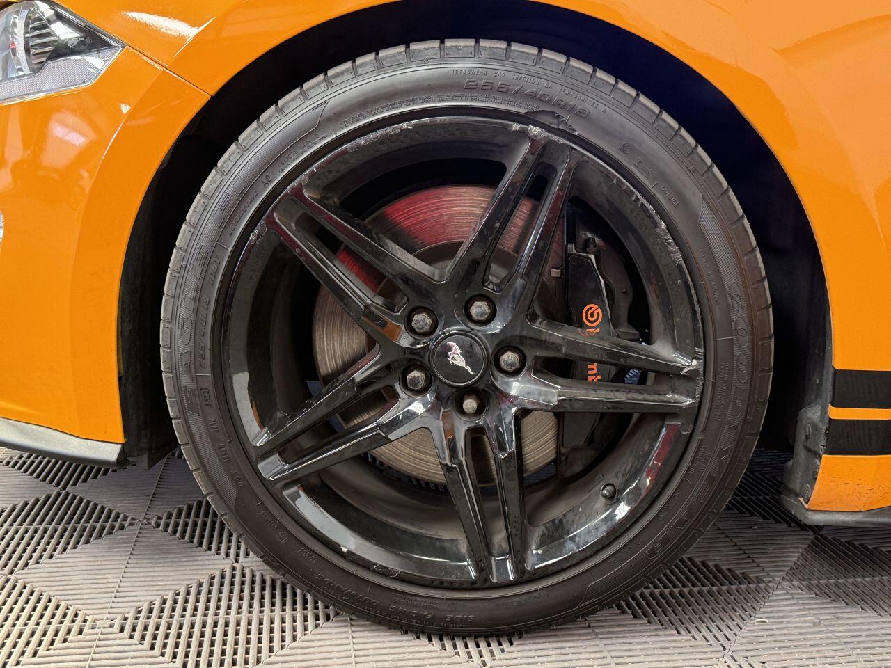 Ford Mustang view 21