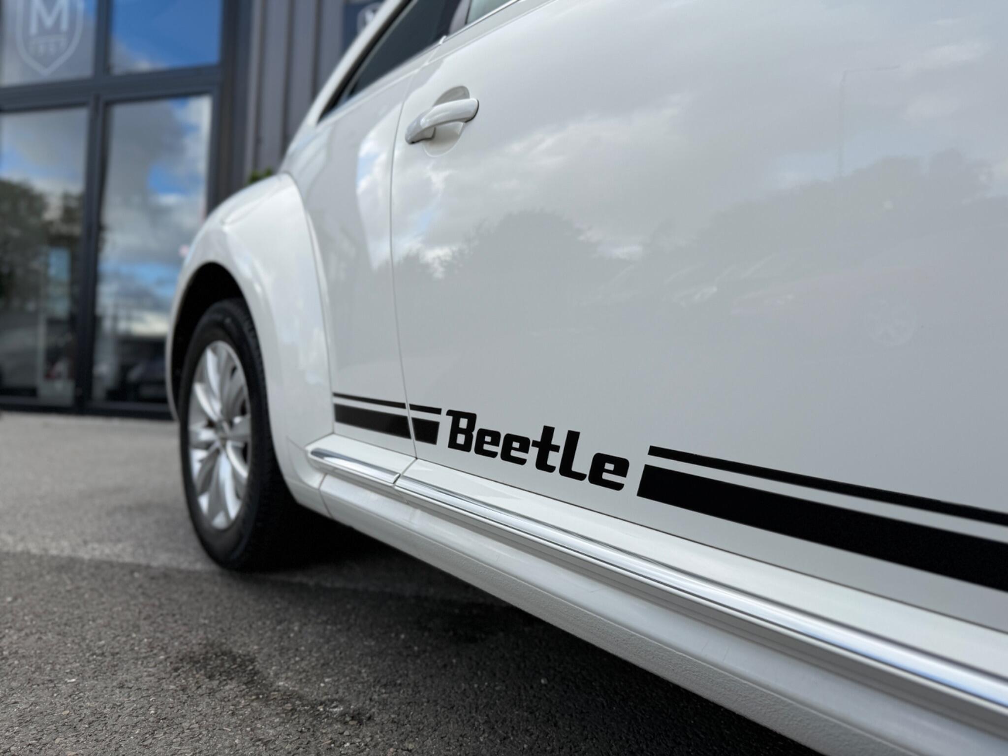 Volkswagen Beetle view 11