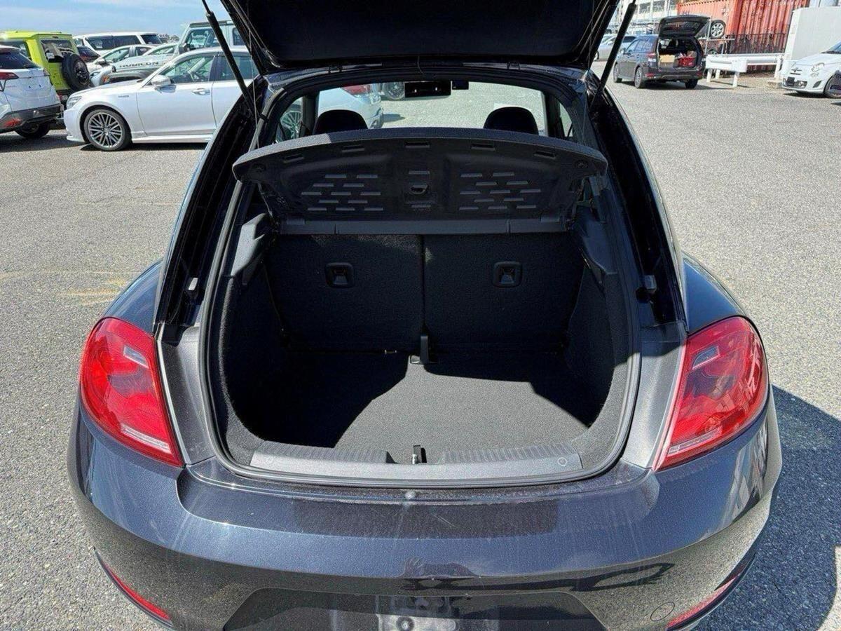 Volkswagen Beetle view 17