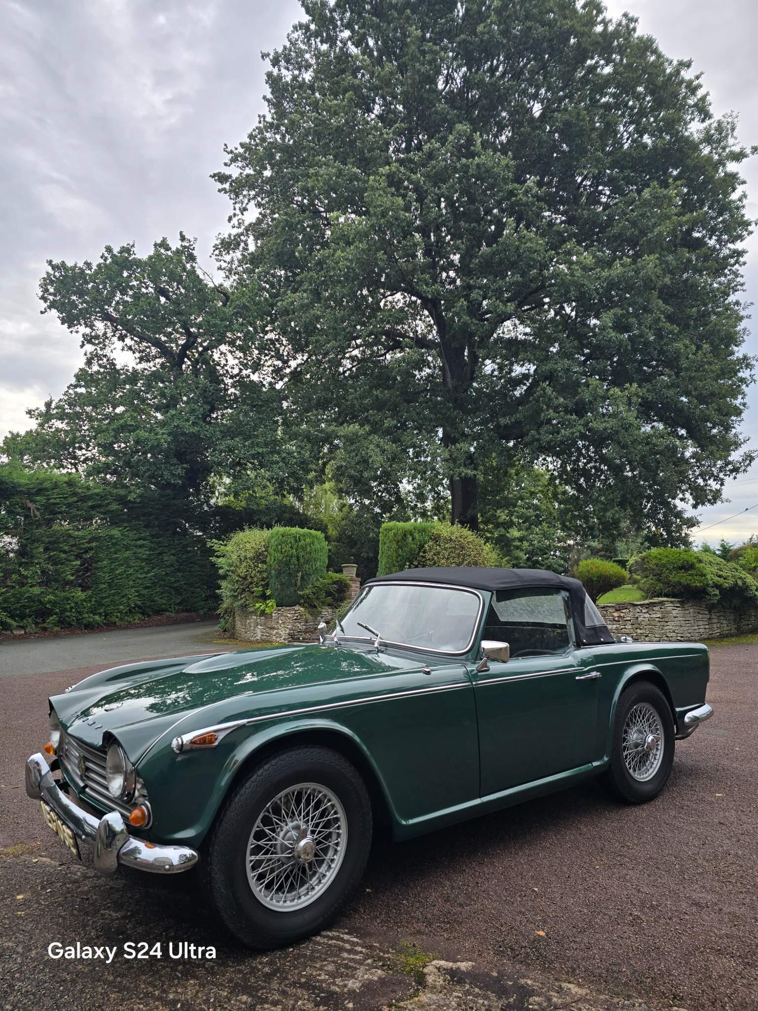 Triumph TR4