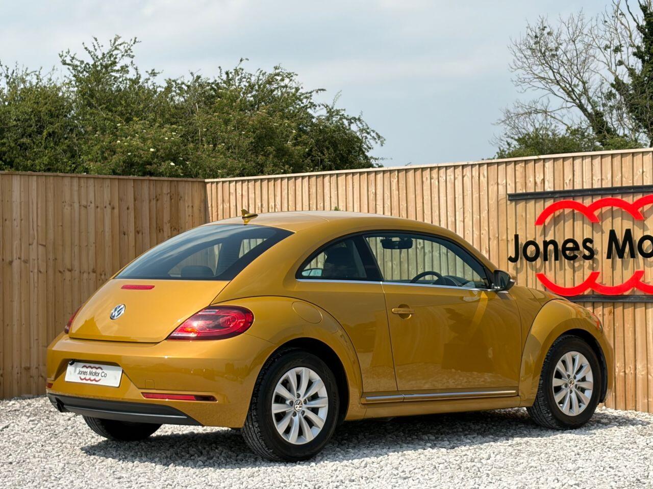 Volkswagen Beetle view 6