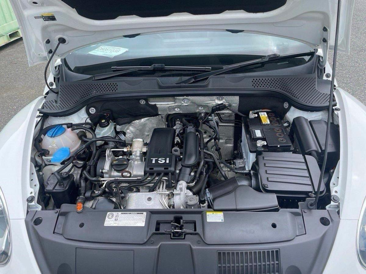 Volkswagen Beetle view 20