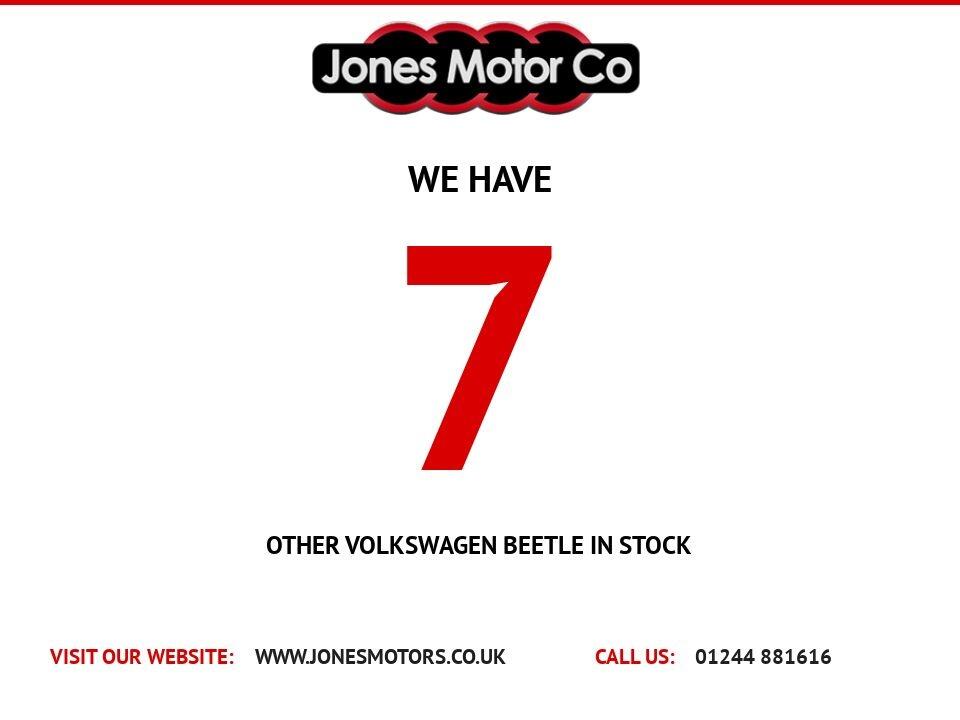 Volkswagen Beetle view 8