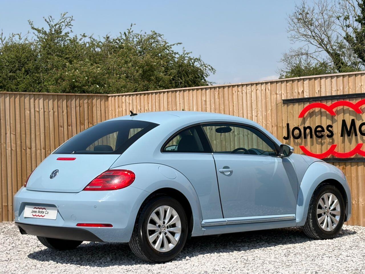 Volkswagen Beetle view 8
