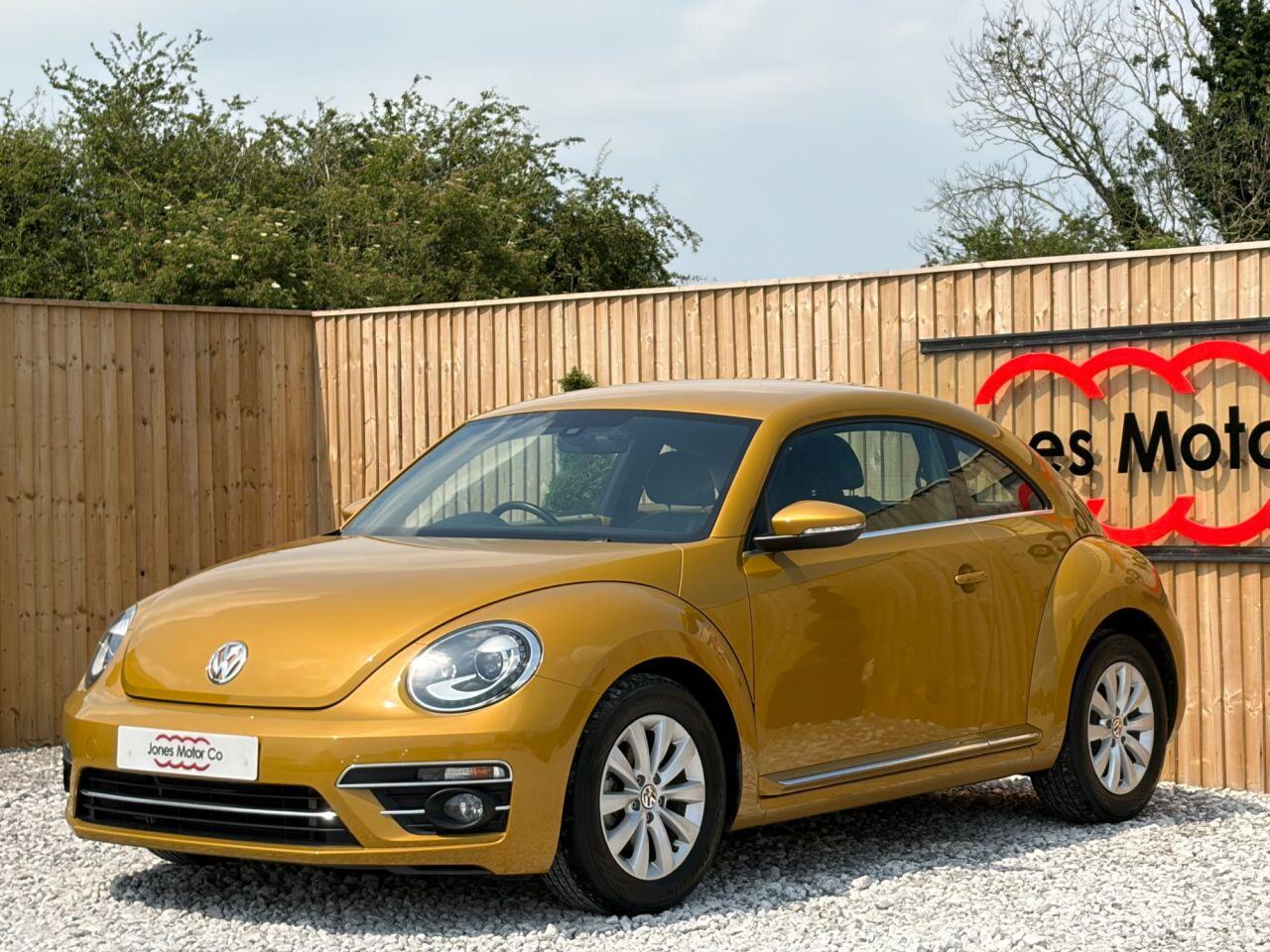 Volkswagen Beetle view 4