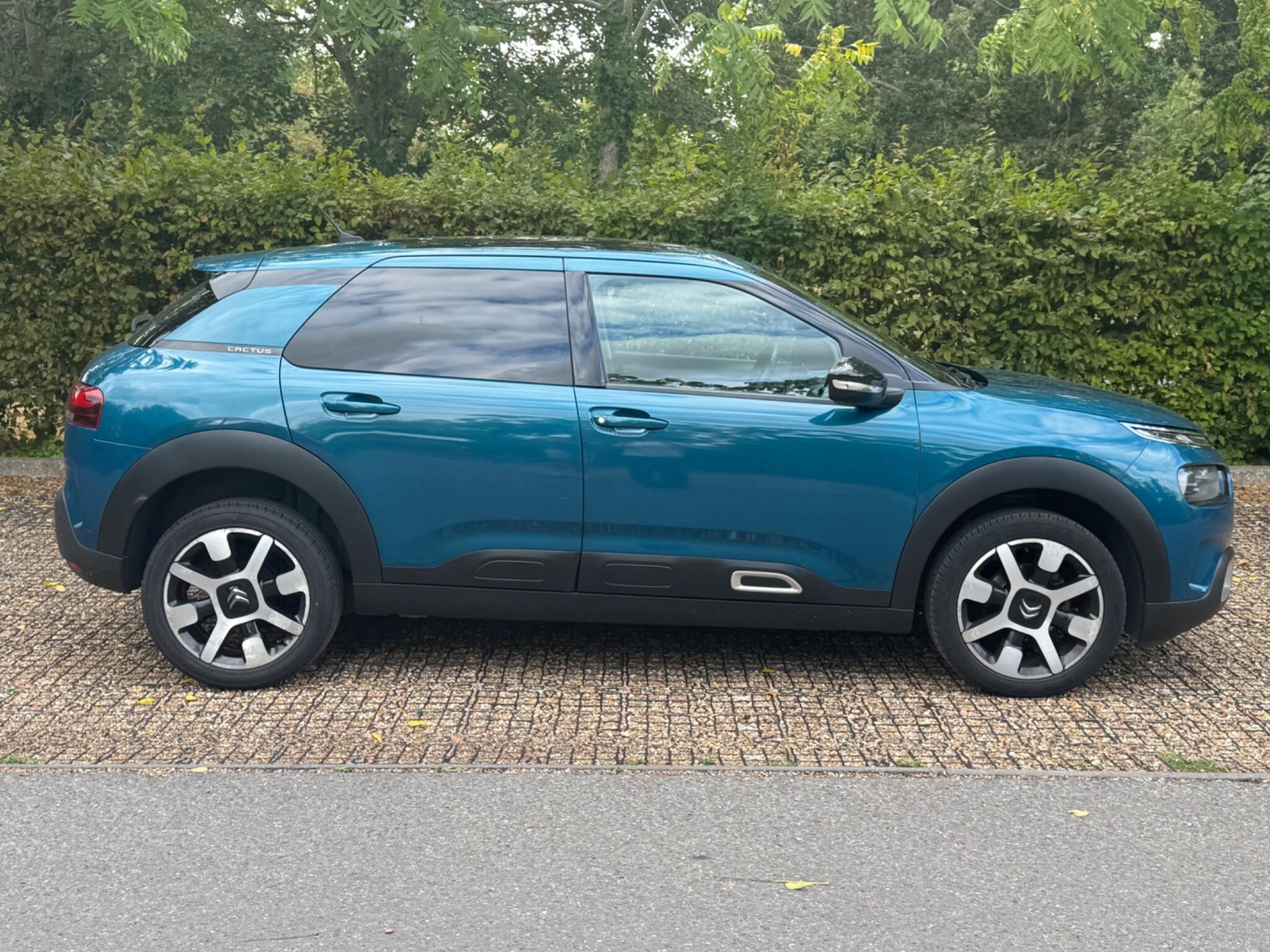 Citroen C4 Cactus view 35