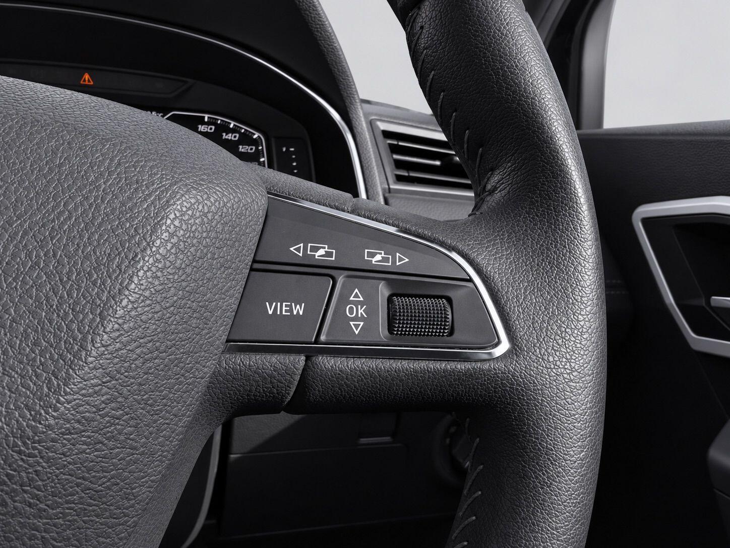 SEAT Ibiza view 28