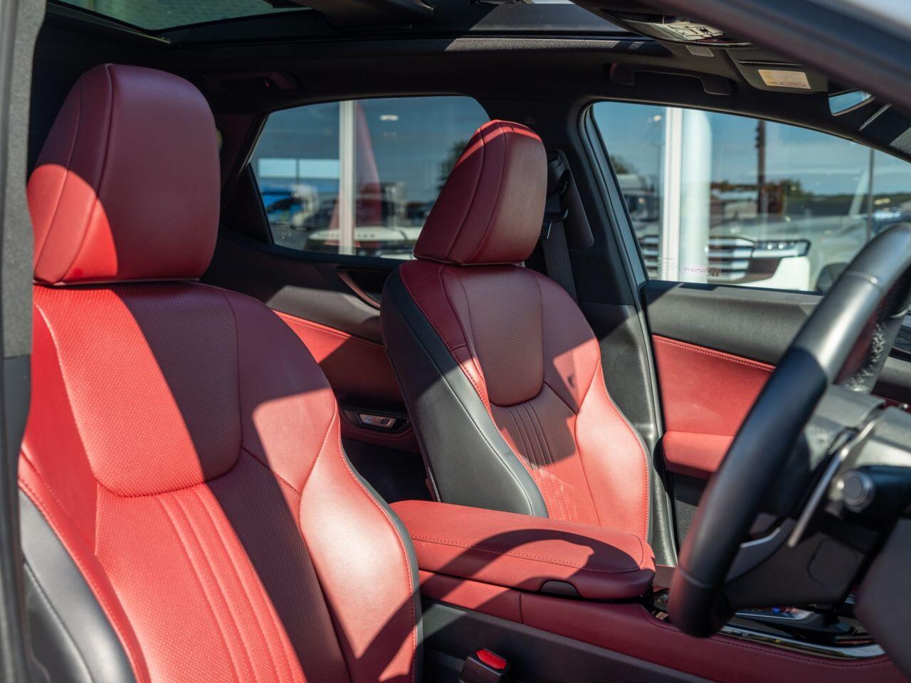 Lexus NX view 11