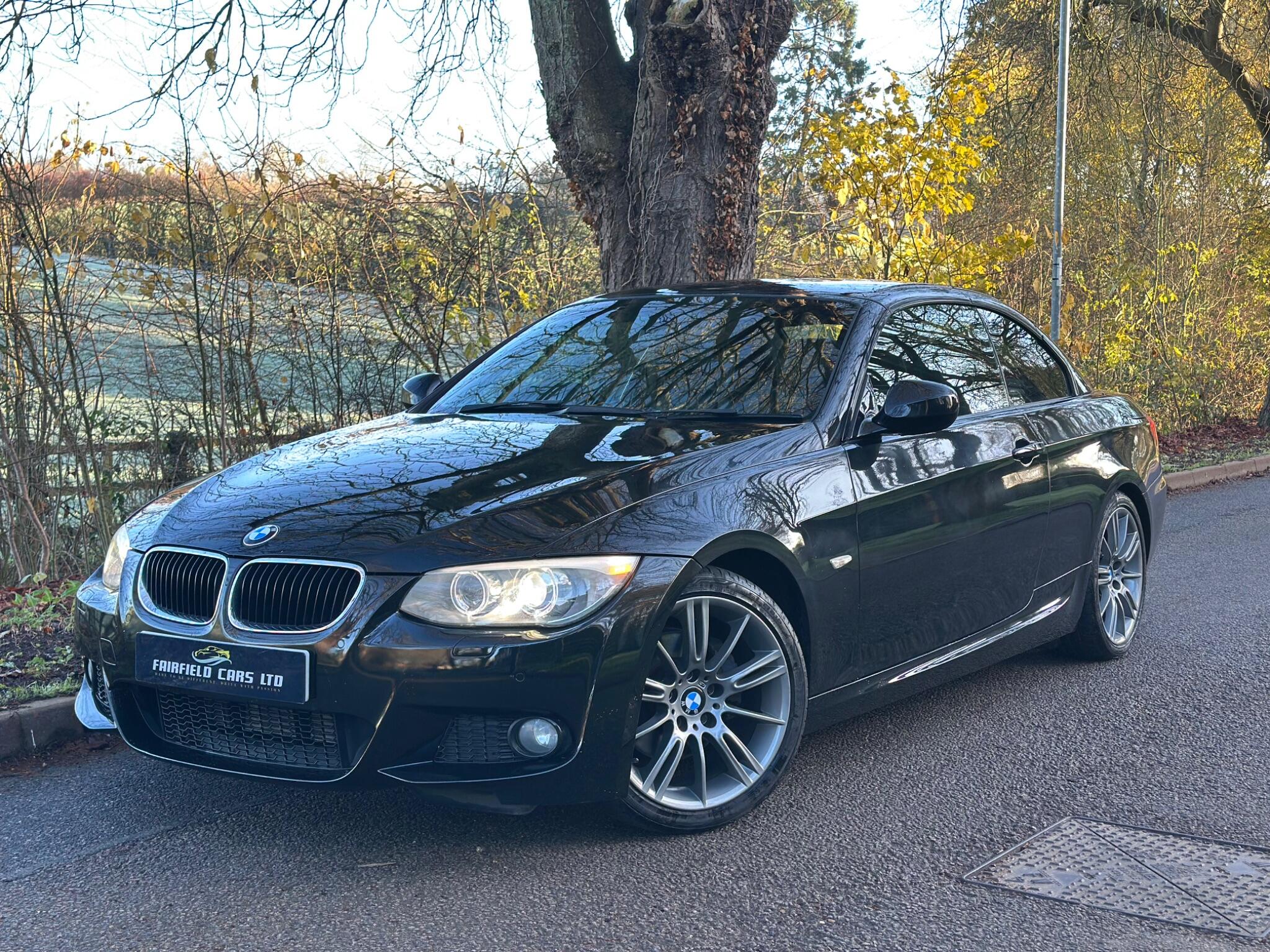 2010 BMW 3 Series image 1