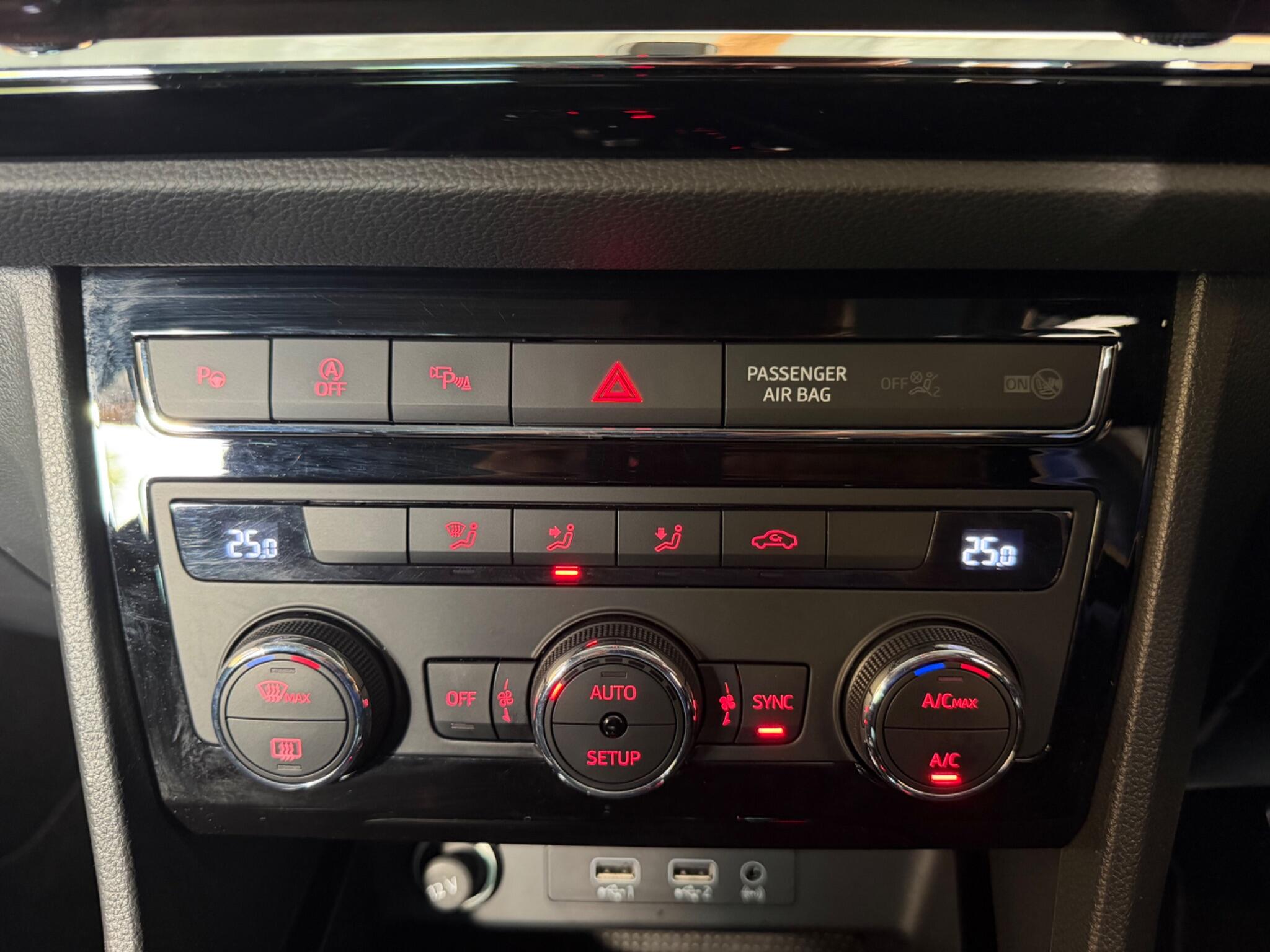 Cupra Ateca view 30