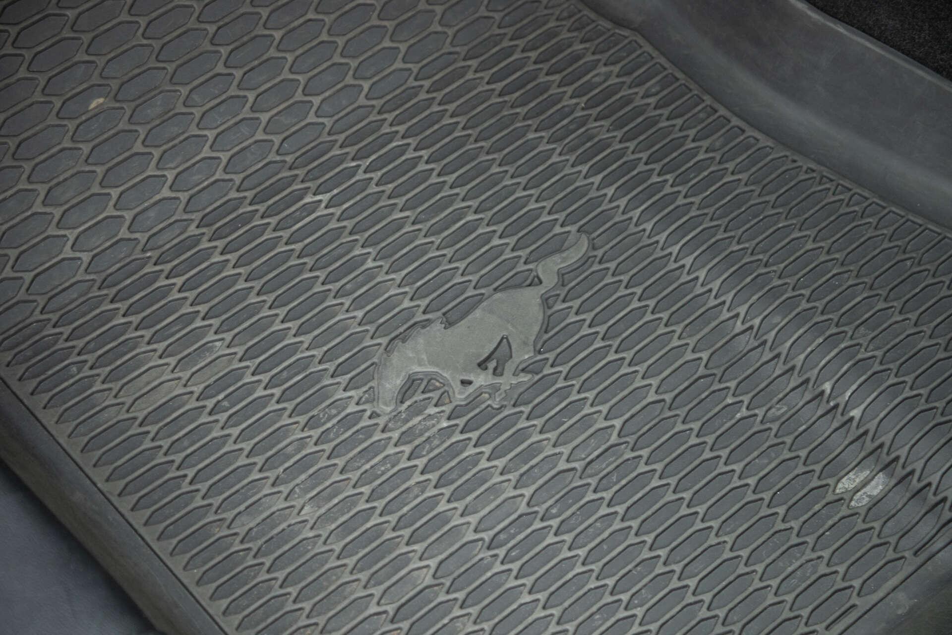 Ford Mustang view 43