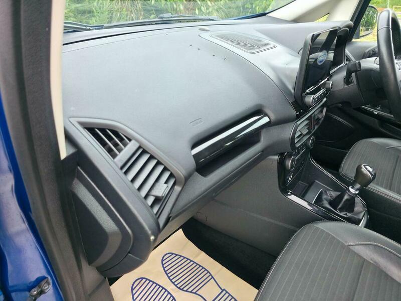 Ford Ecosport view 29
