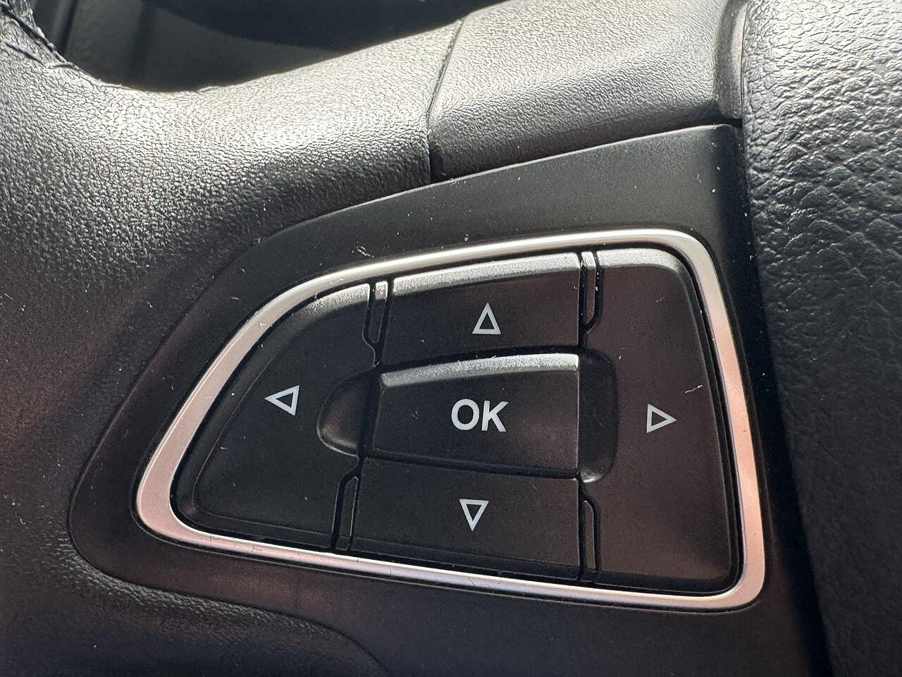 Ford Focus view 19