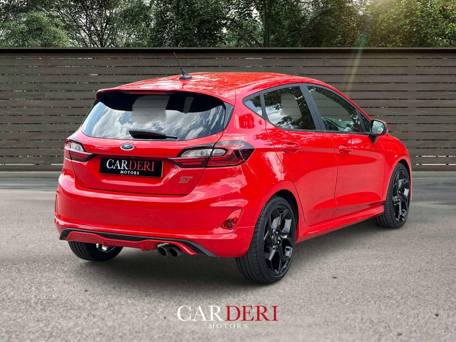 Ford Fiesta view 19