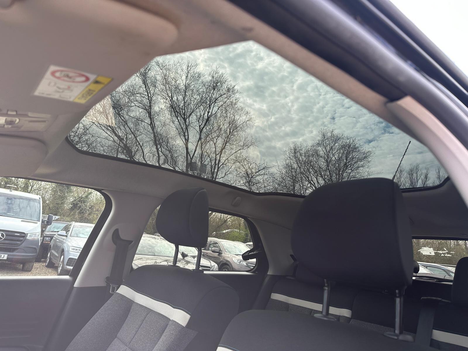 Citroen C4 Cactus view 27