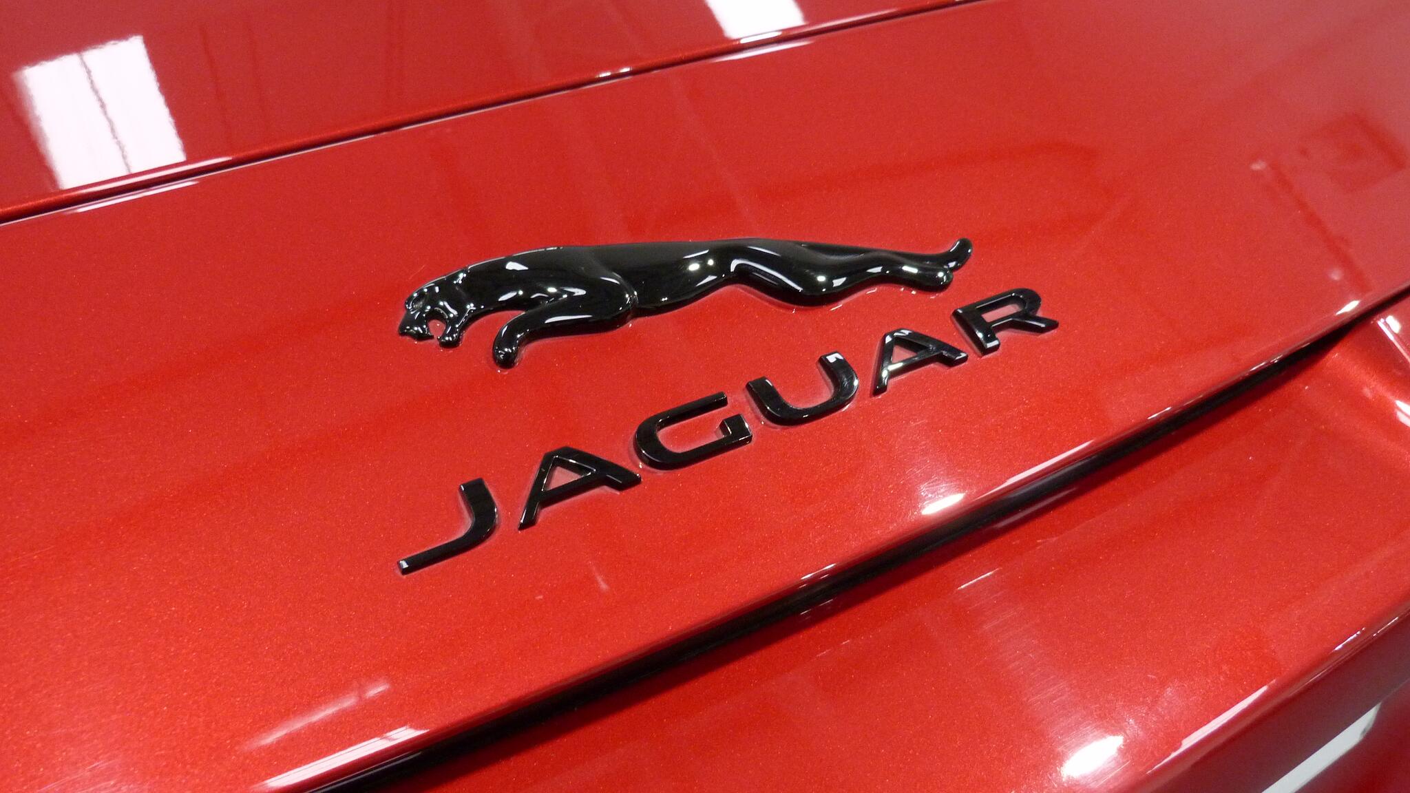 Jaguar F-Type view 54