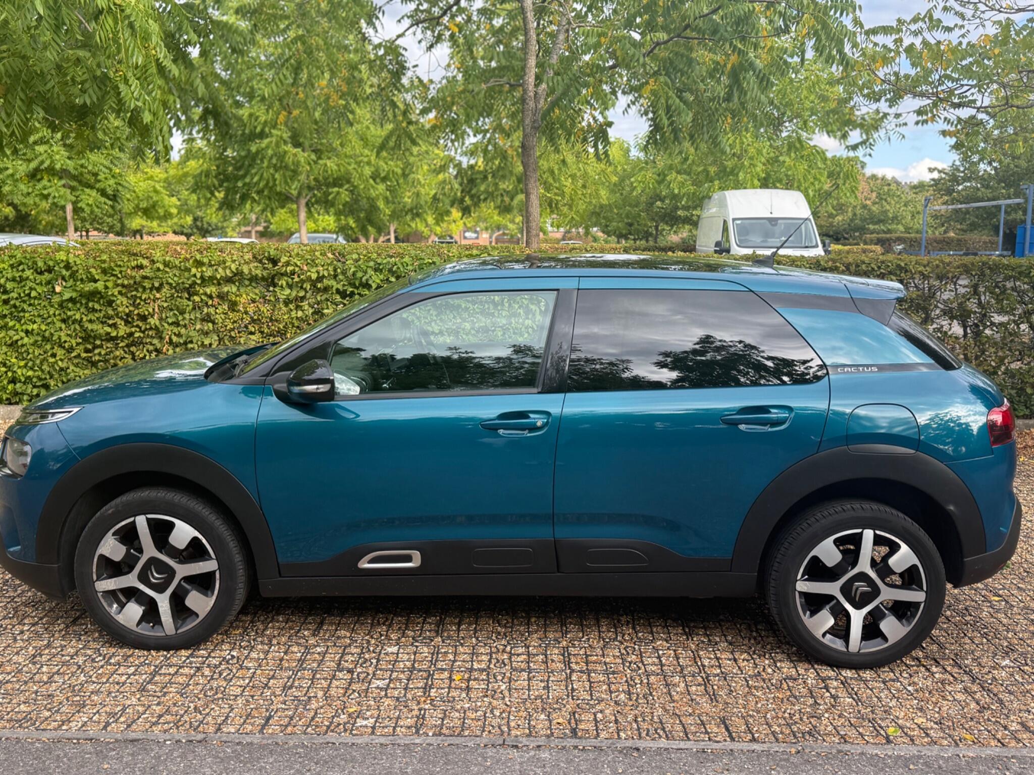 Citroen C4 Cactus view 26