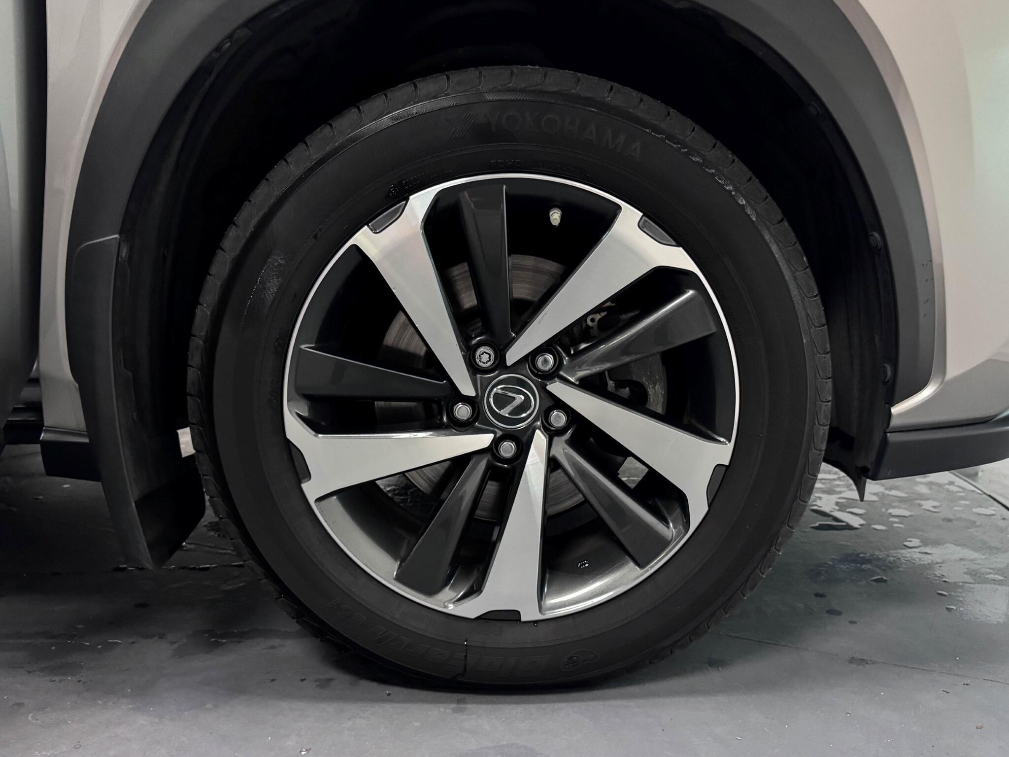 Lexus NX view 54