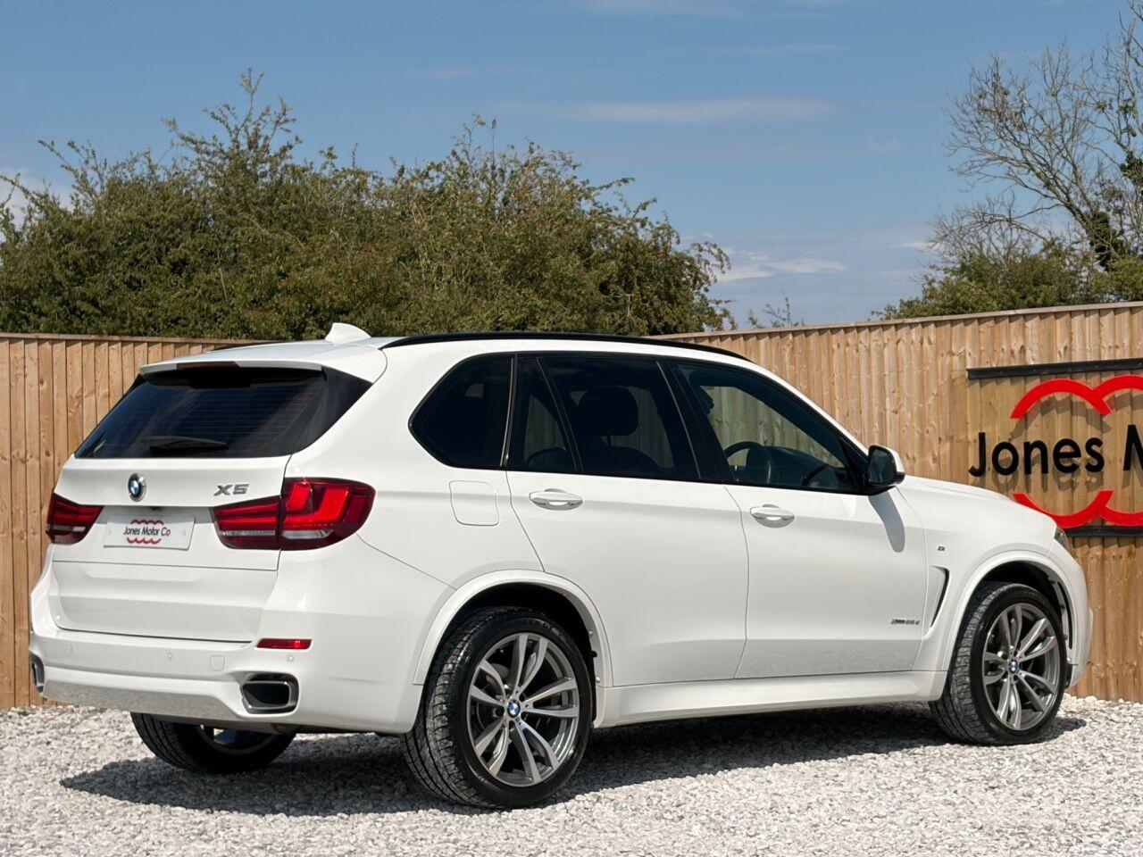 BMW X5 view 10