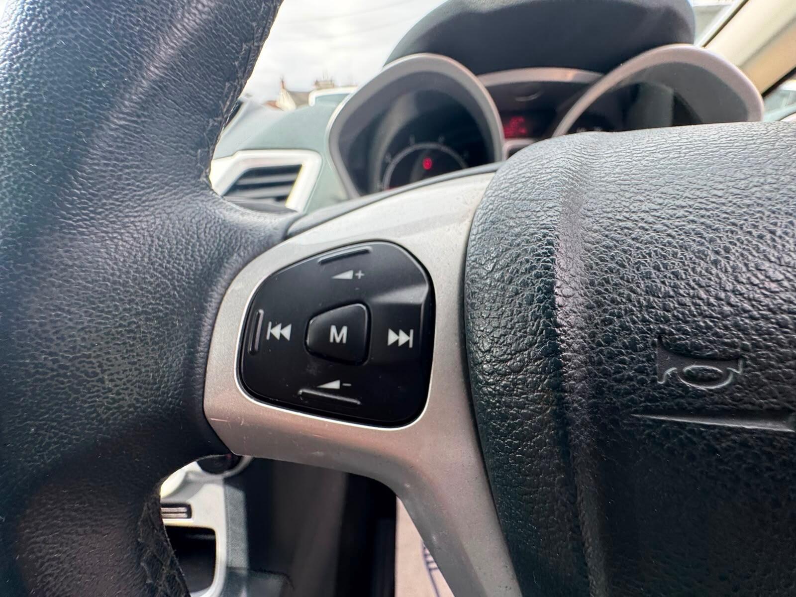 Ford Fiesta view 20
