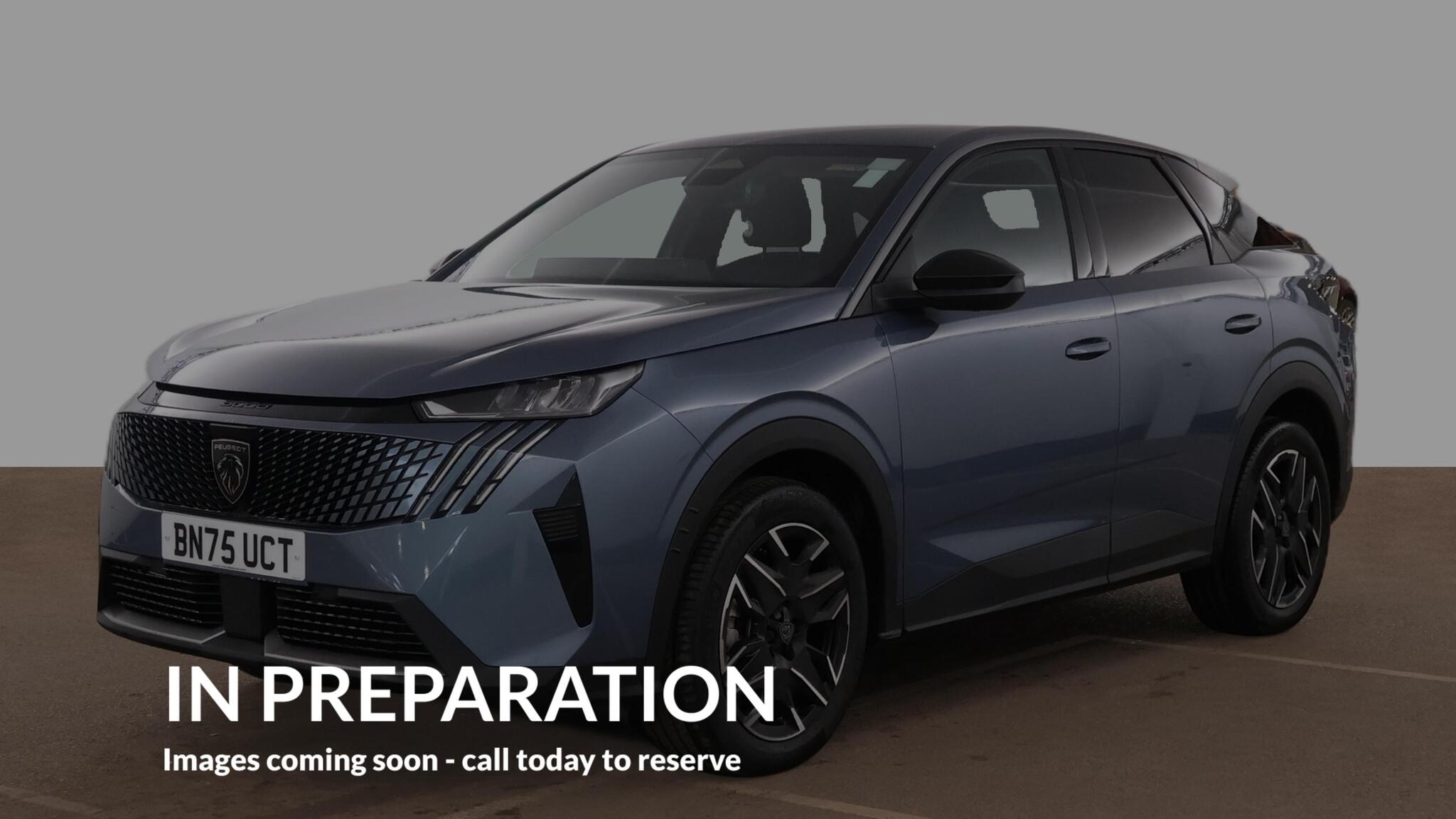 Peugeot 3008 view 2