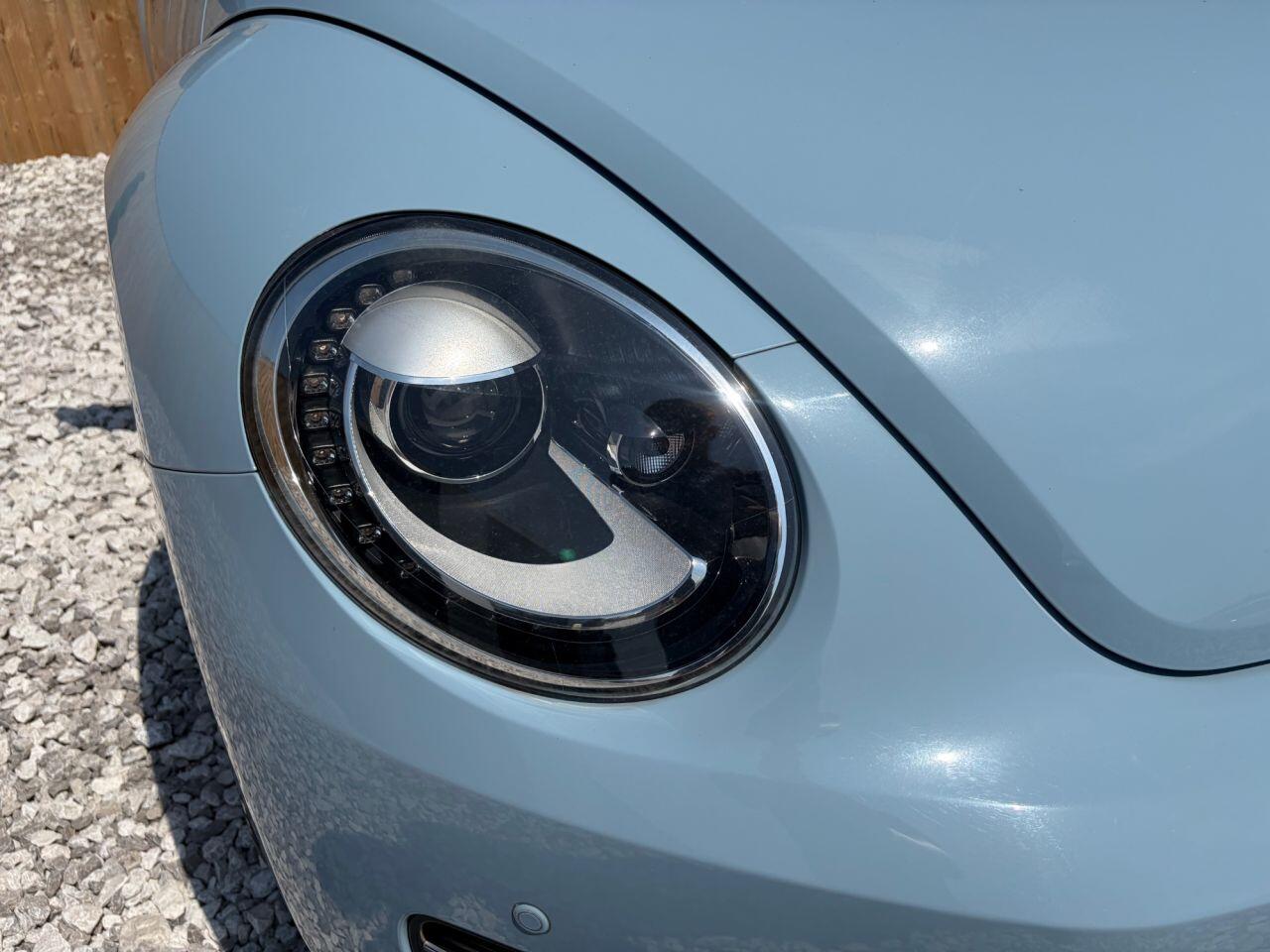 Volkswagen Beetle view 5