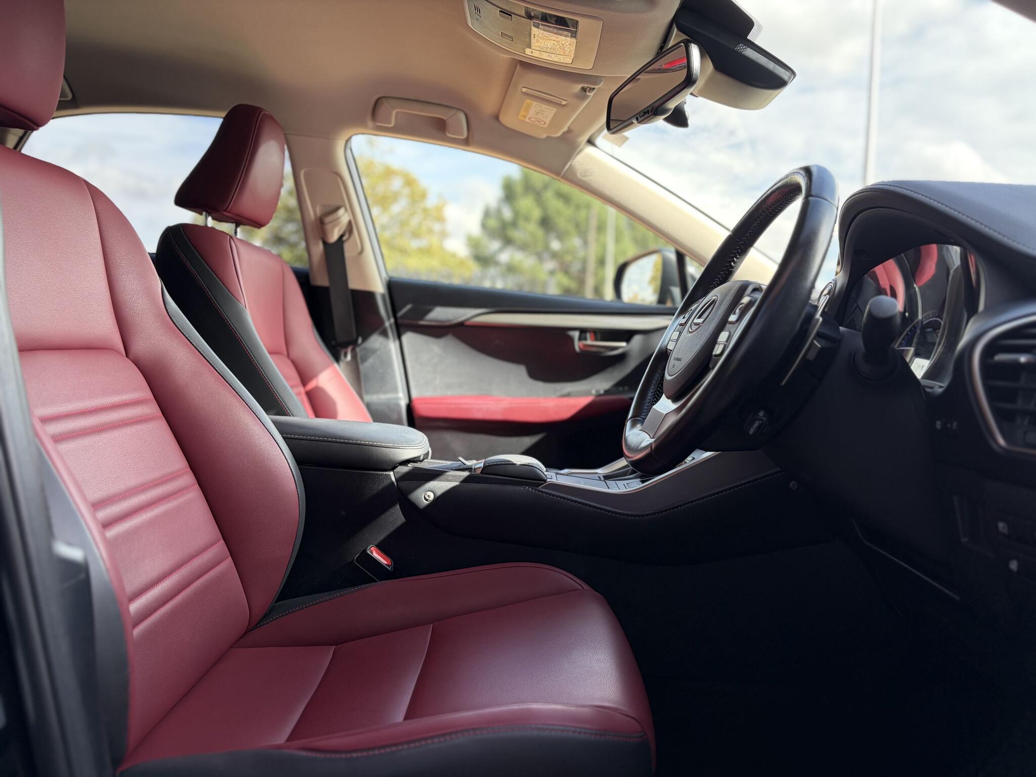 Lexus NX view 16