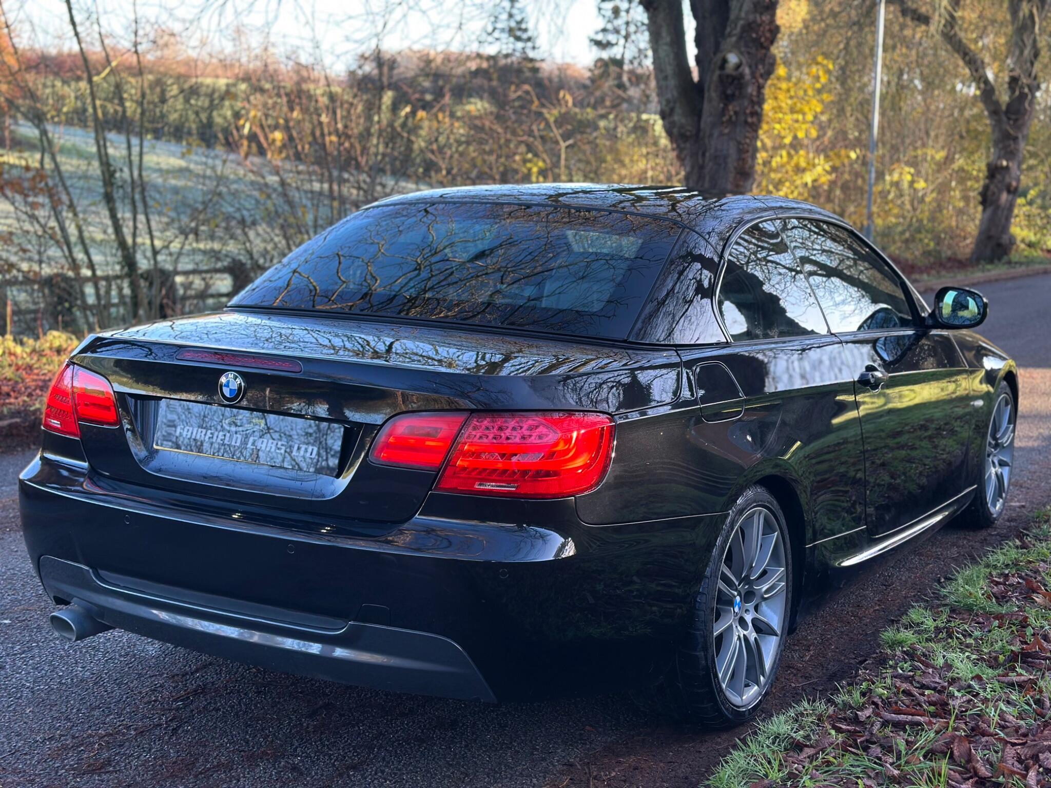 2010 BMW 3 Series image 21