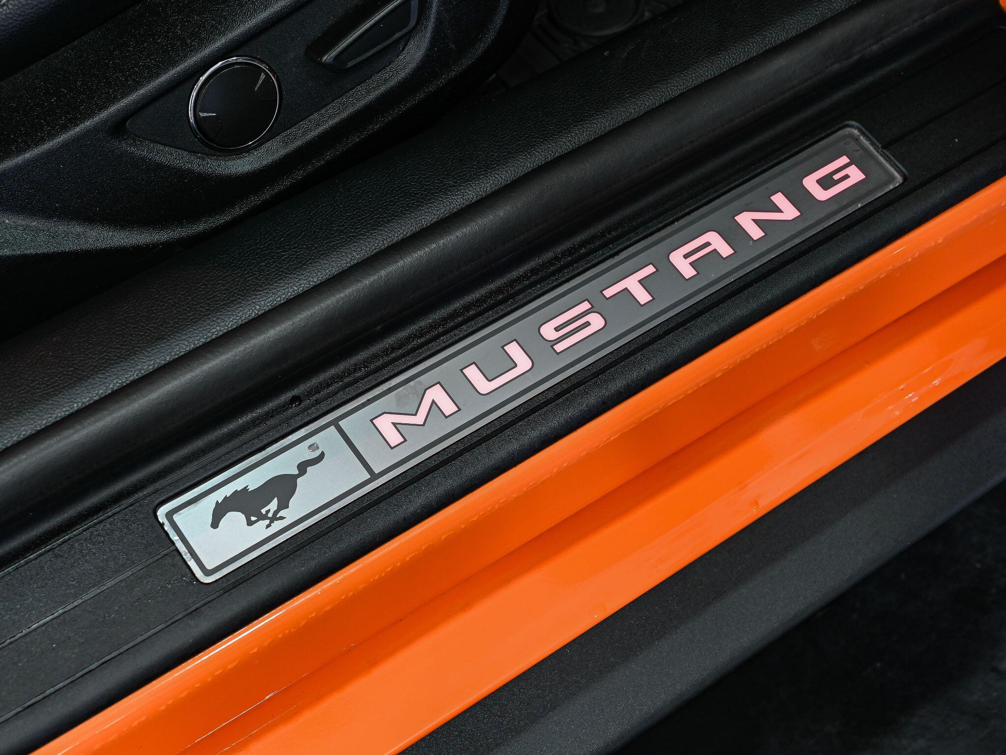 Ford Mustang view 42