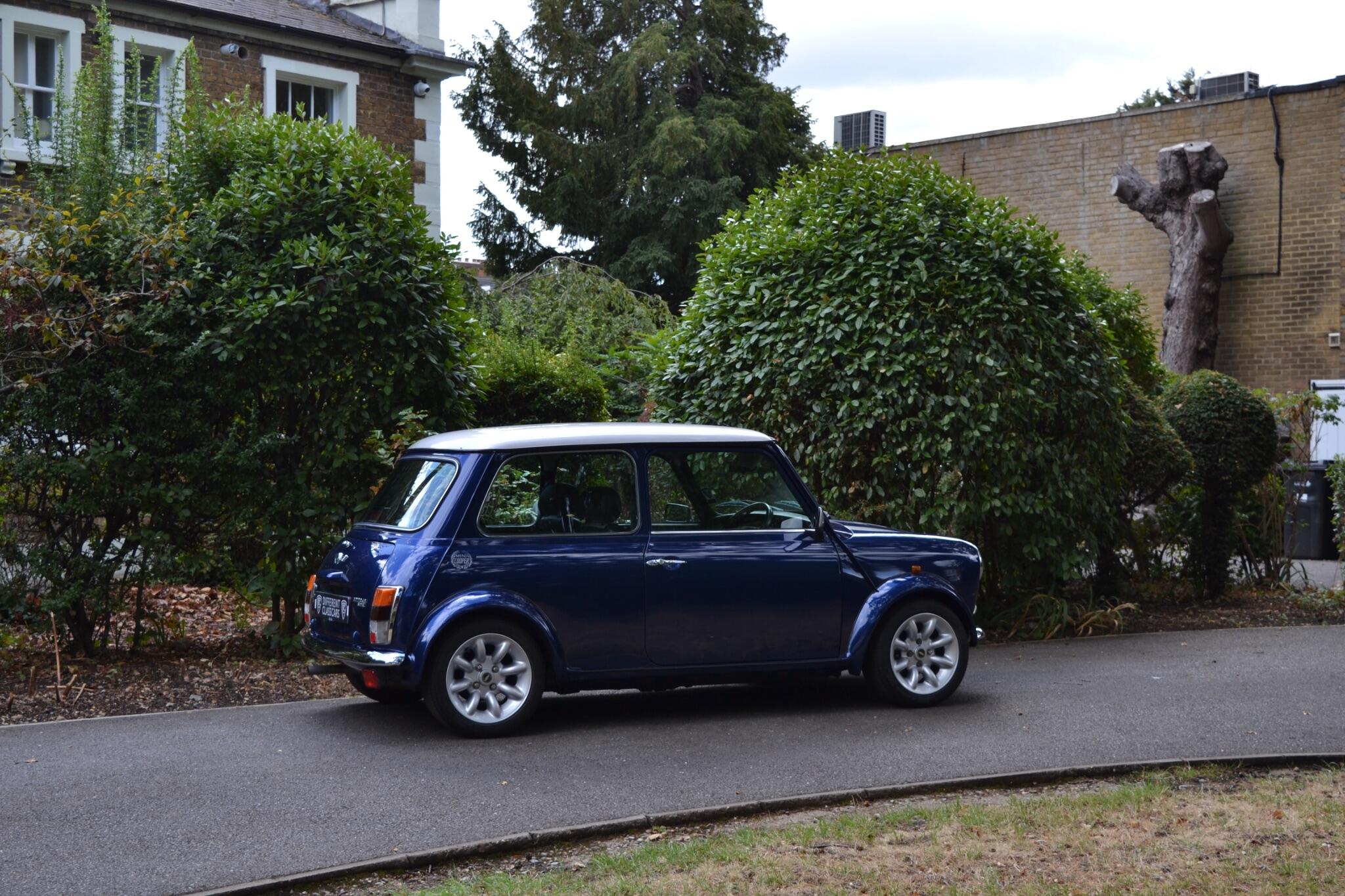 Rover Mini view 11