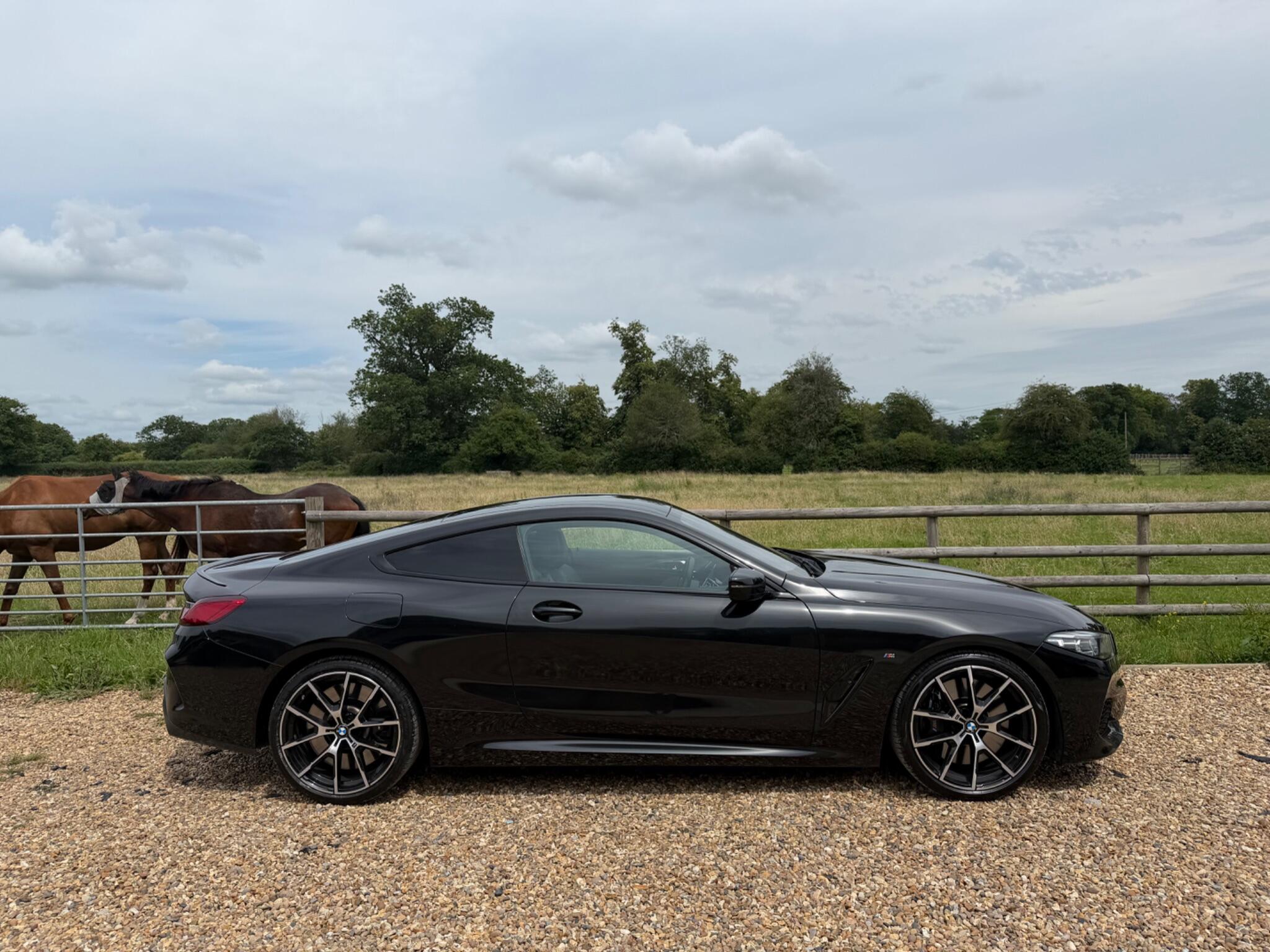 BMW 8 Series view 10