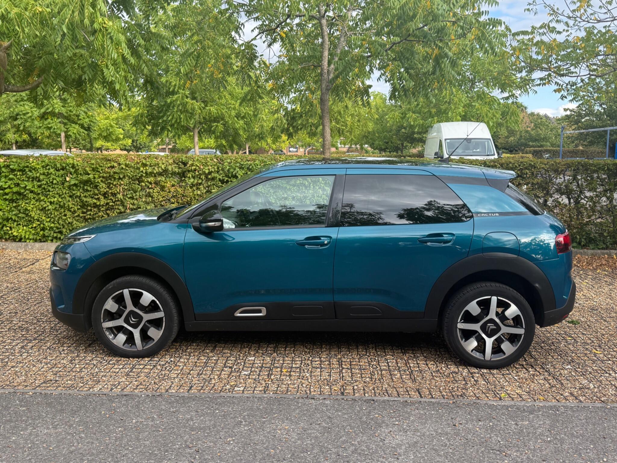 Citroen C4 Cactus view 28