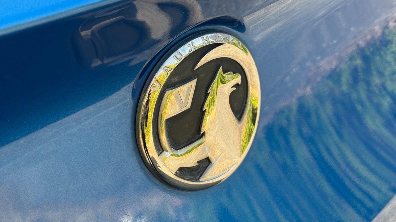 Vauxhall Grandland X view 39