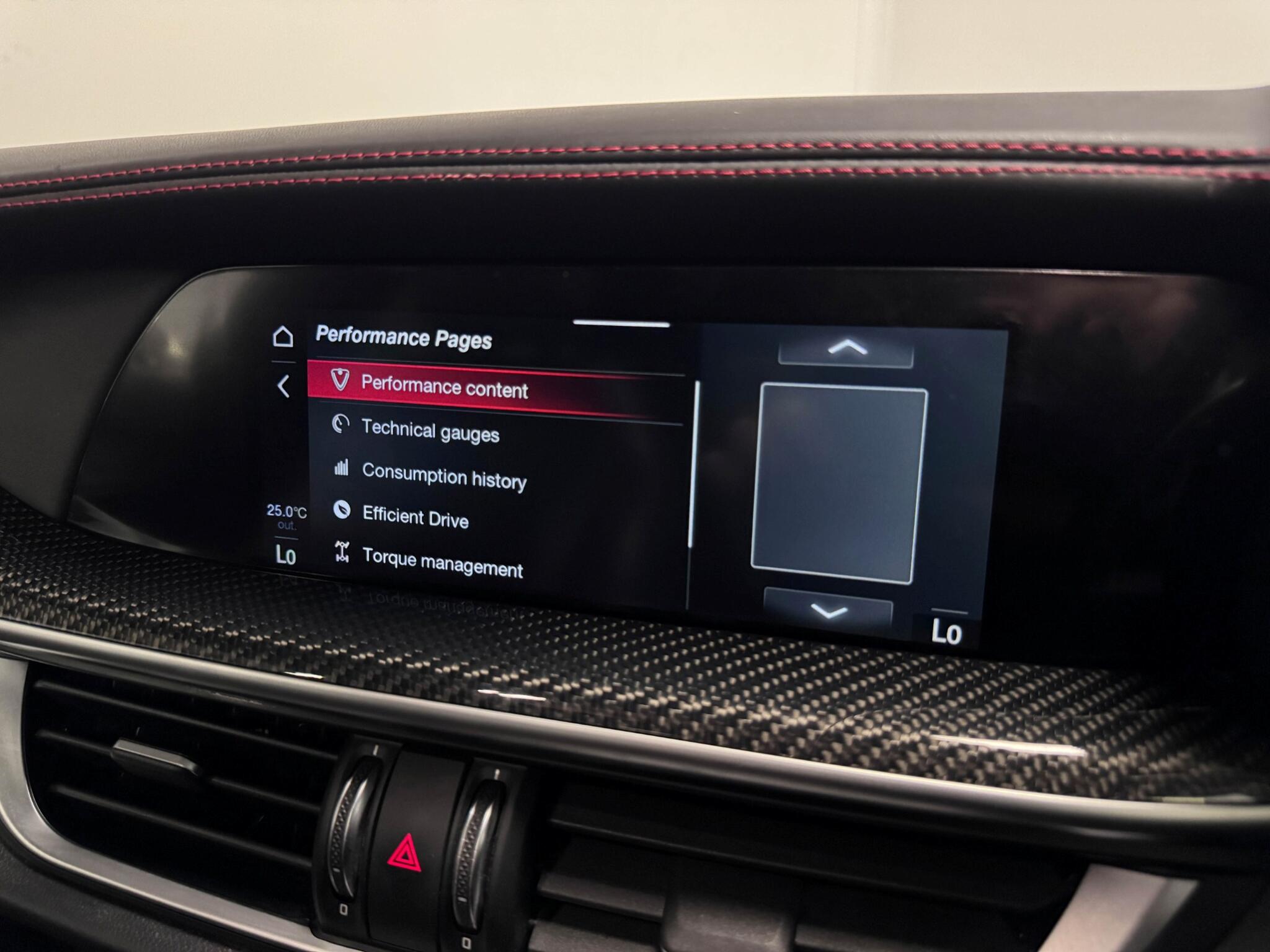 Alfa Romeo Stelvio view 51