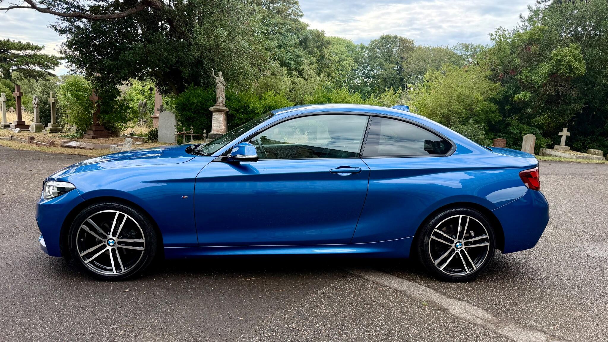 BMW 2 Series view 19