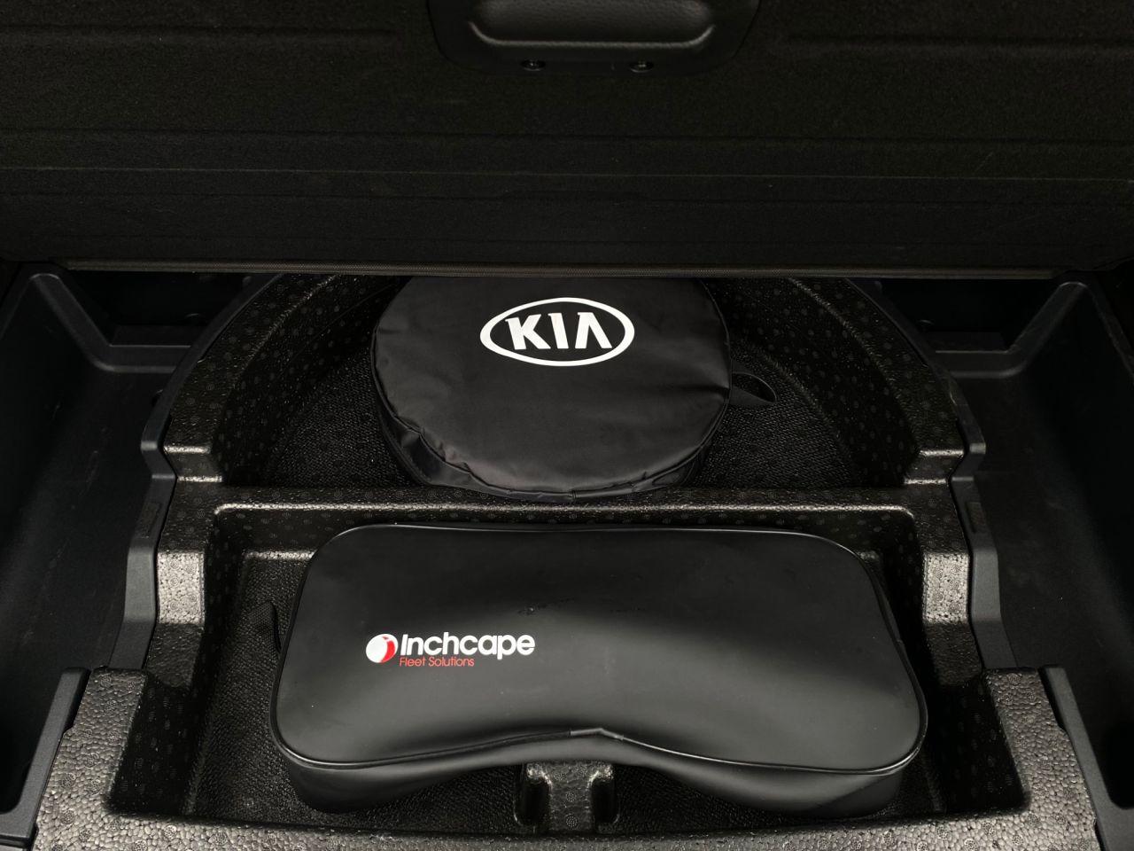 Kia Niro view 27