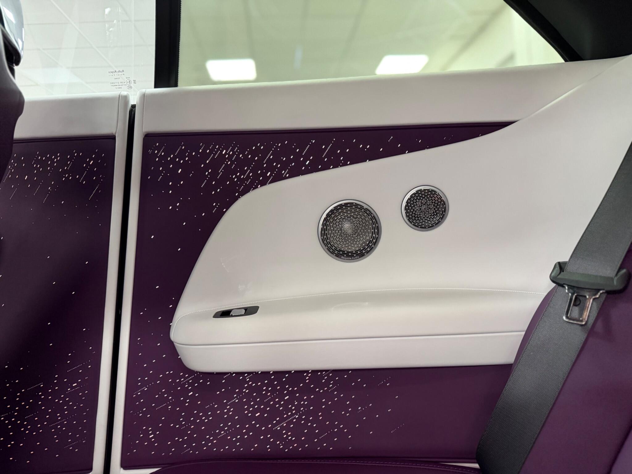 Rolls-Royce Spectre view 64