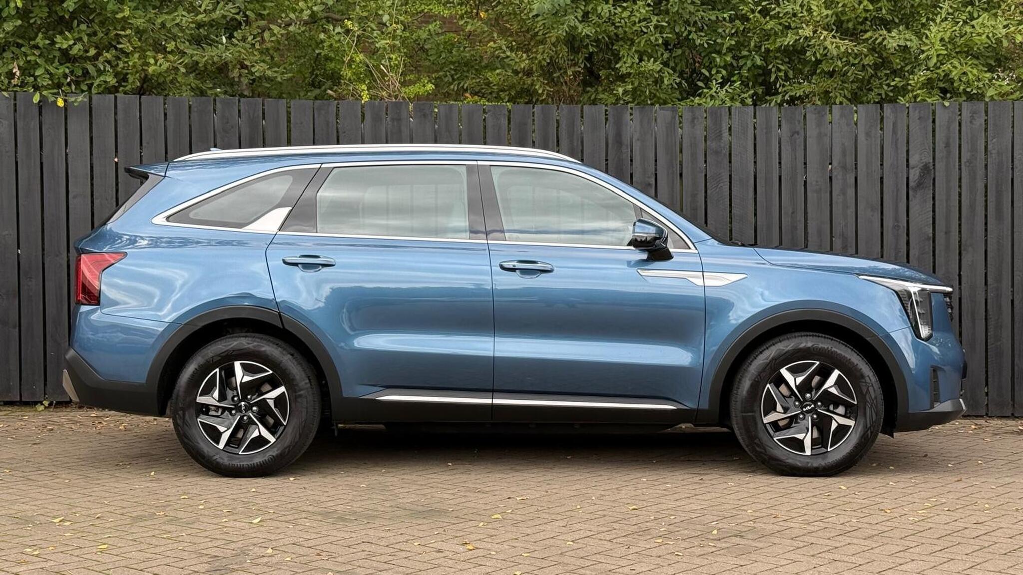 Kia Sorento view 11