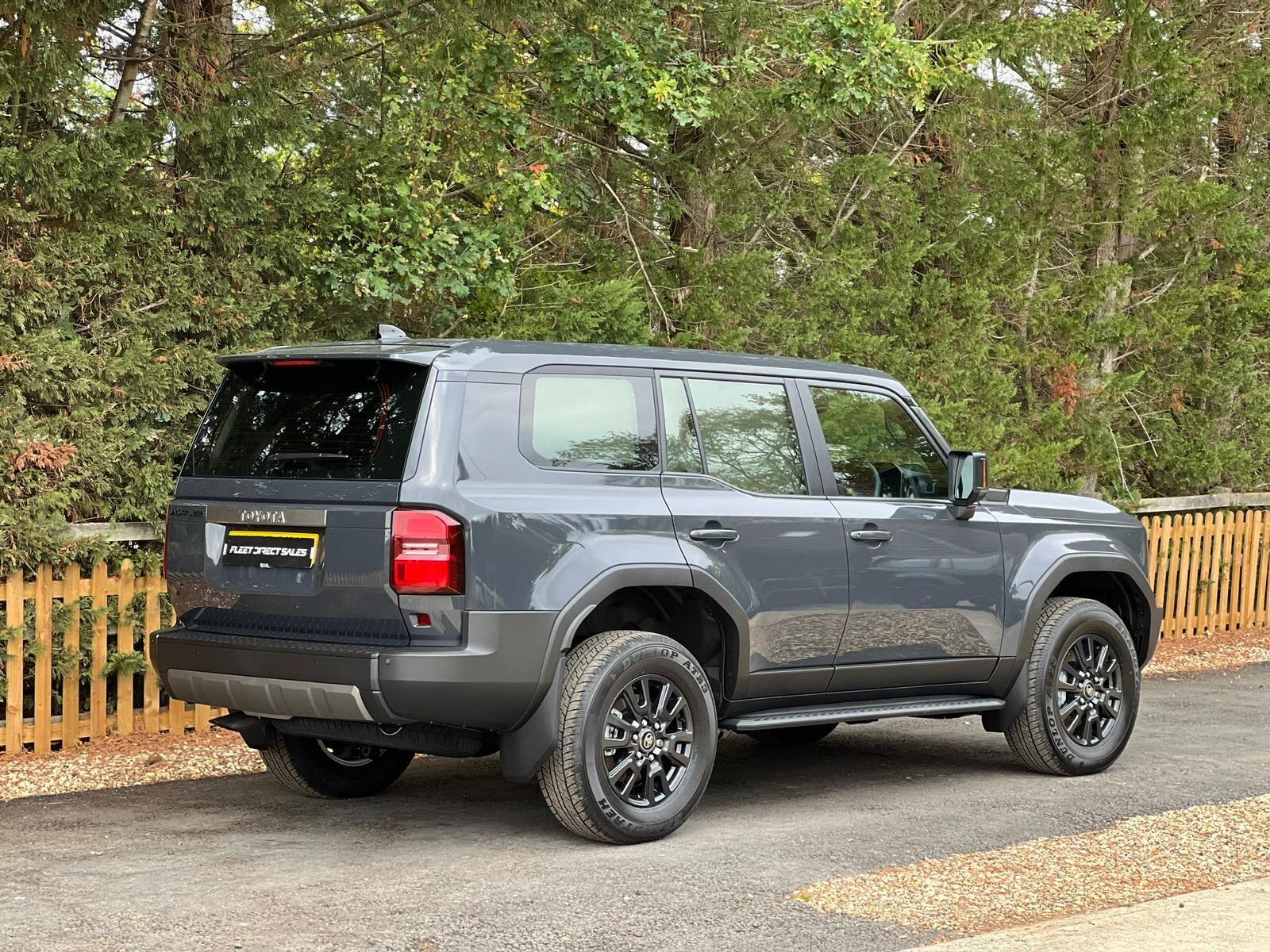 Toyota Land Cruiser view 3