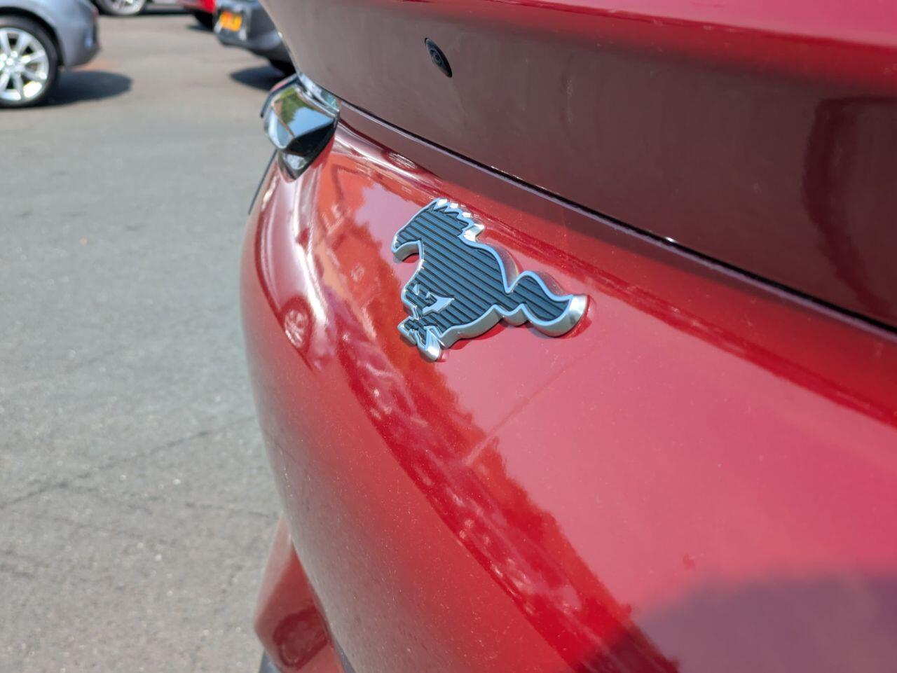 Ford Mustang Mach-E view 31