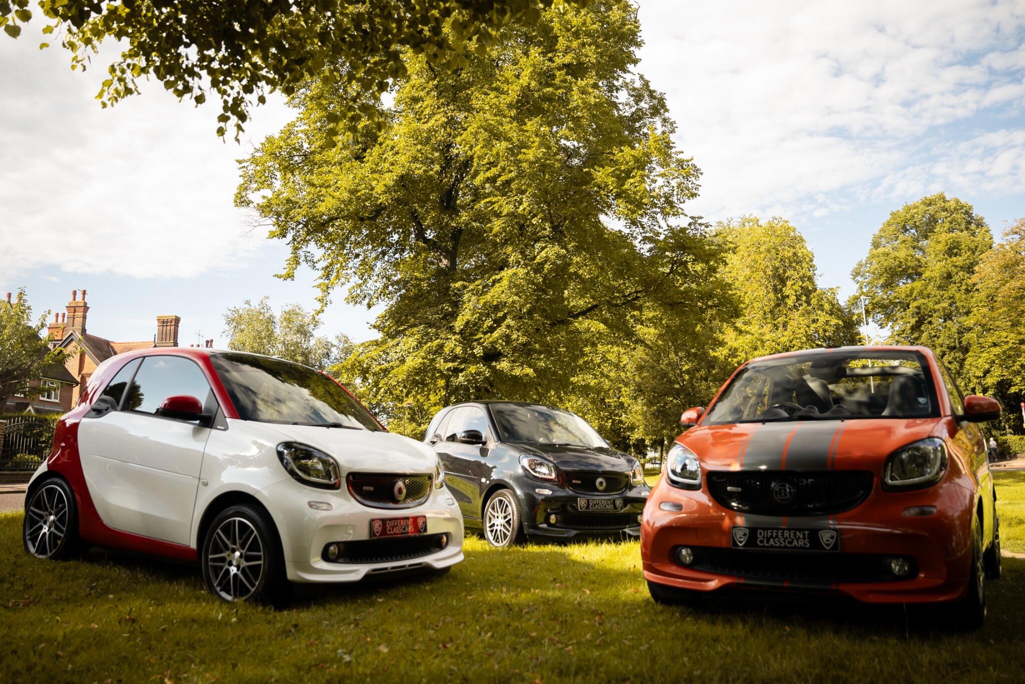 Smart Forfour view 18