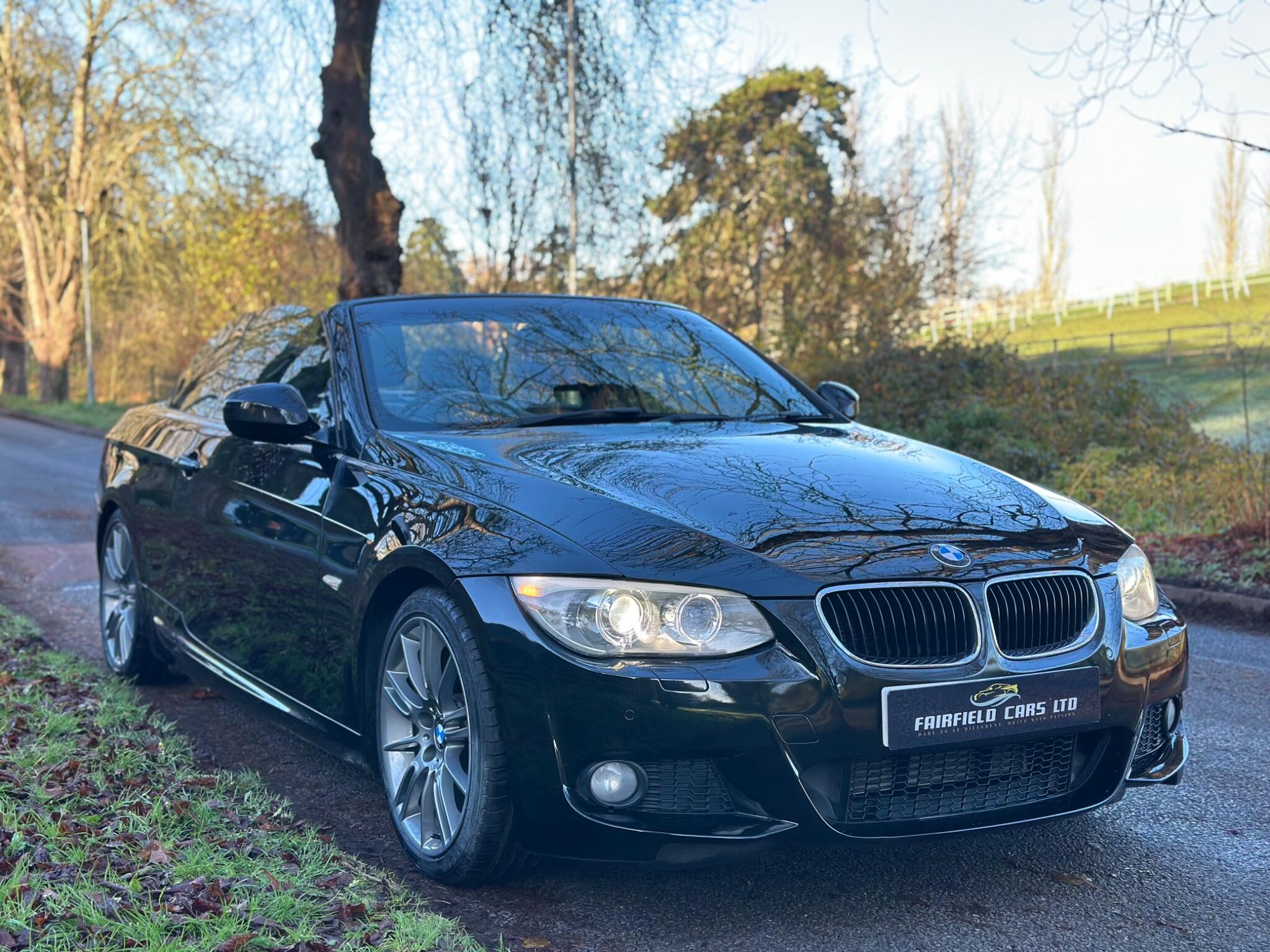 2010 BMW 3 Series image 26