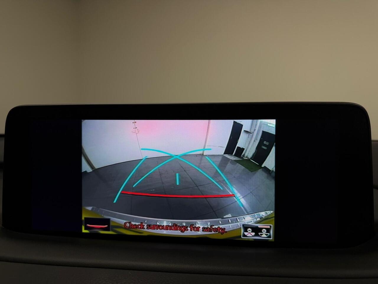 Lexus RX view 29