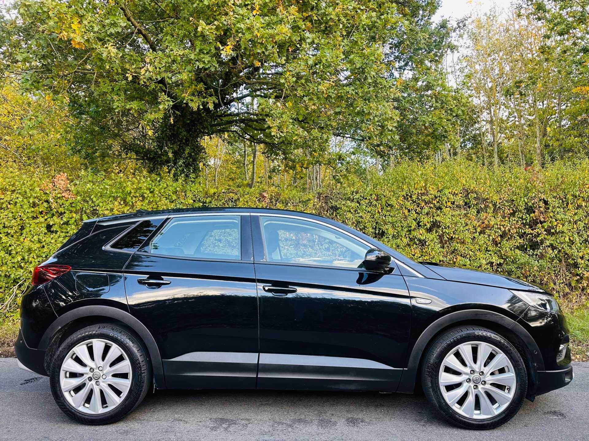 Vauxhall Grandland X view 41