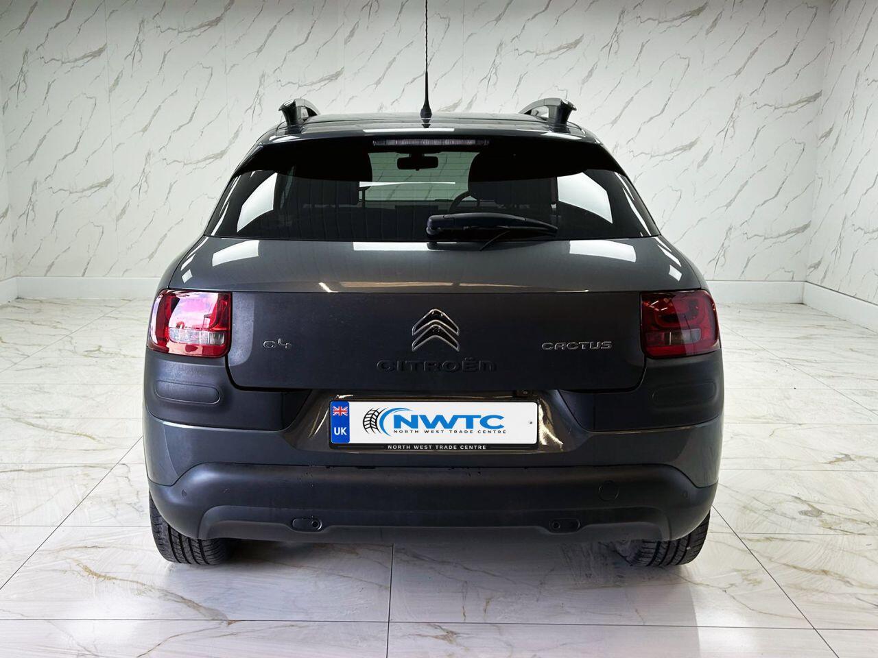 Citroen C4 Cactus view 10