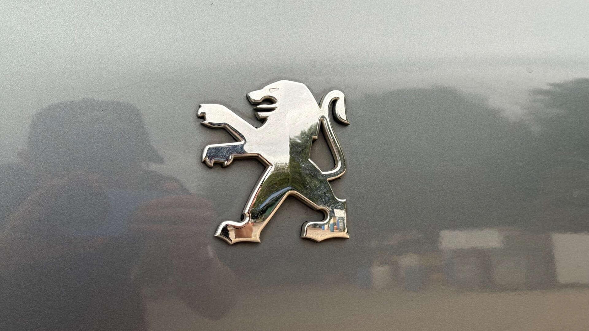 Peugeot 3008 view 39