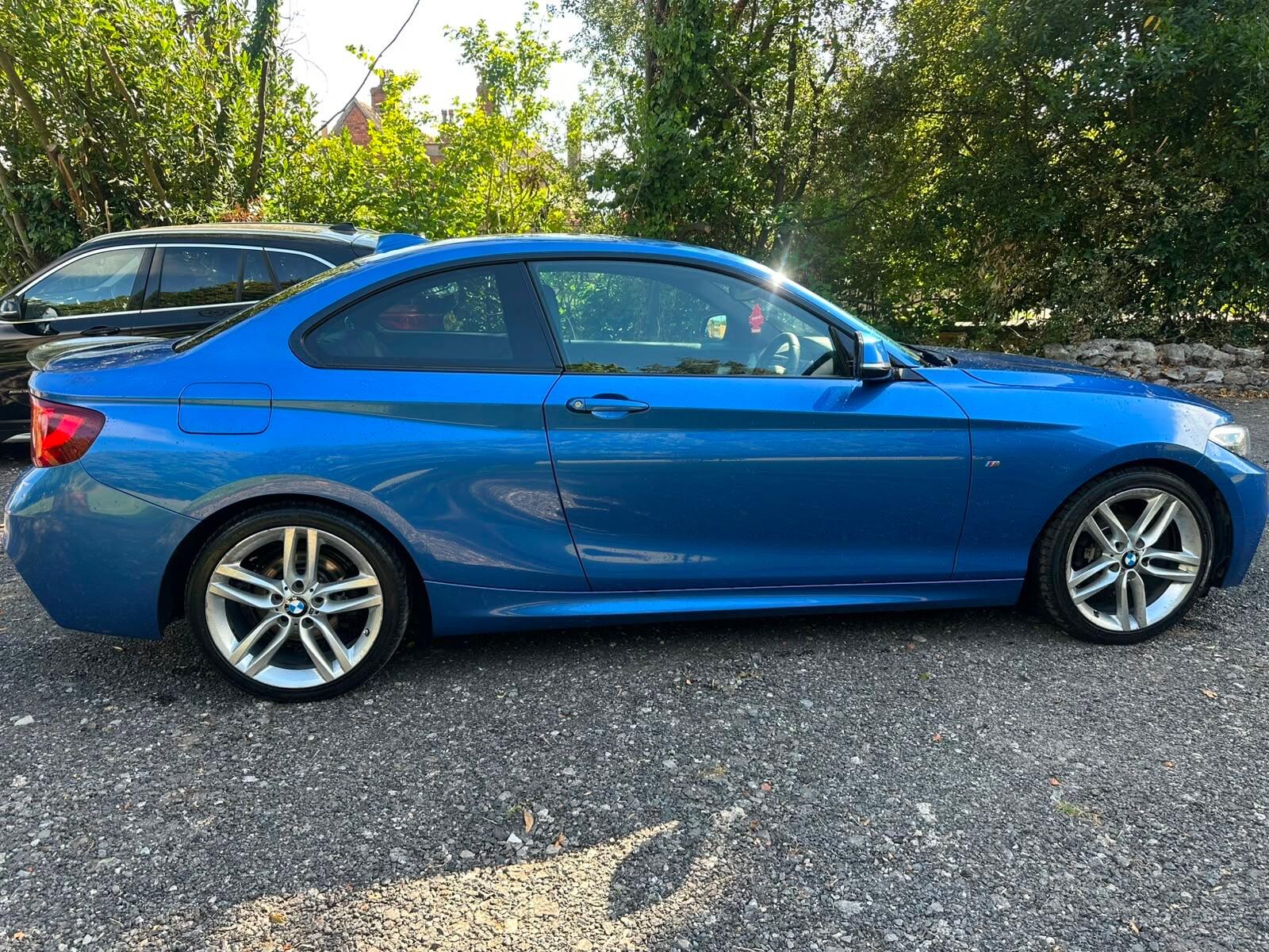 BMW 2 Series view 14